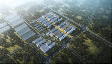 2121非凡·(中国游)体育官方网站